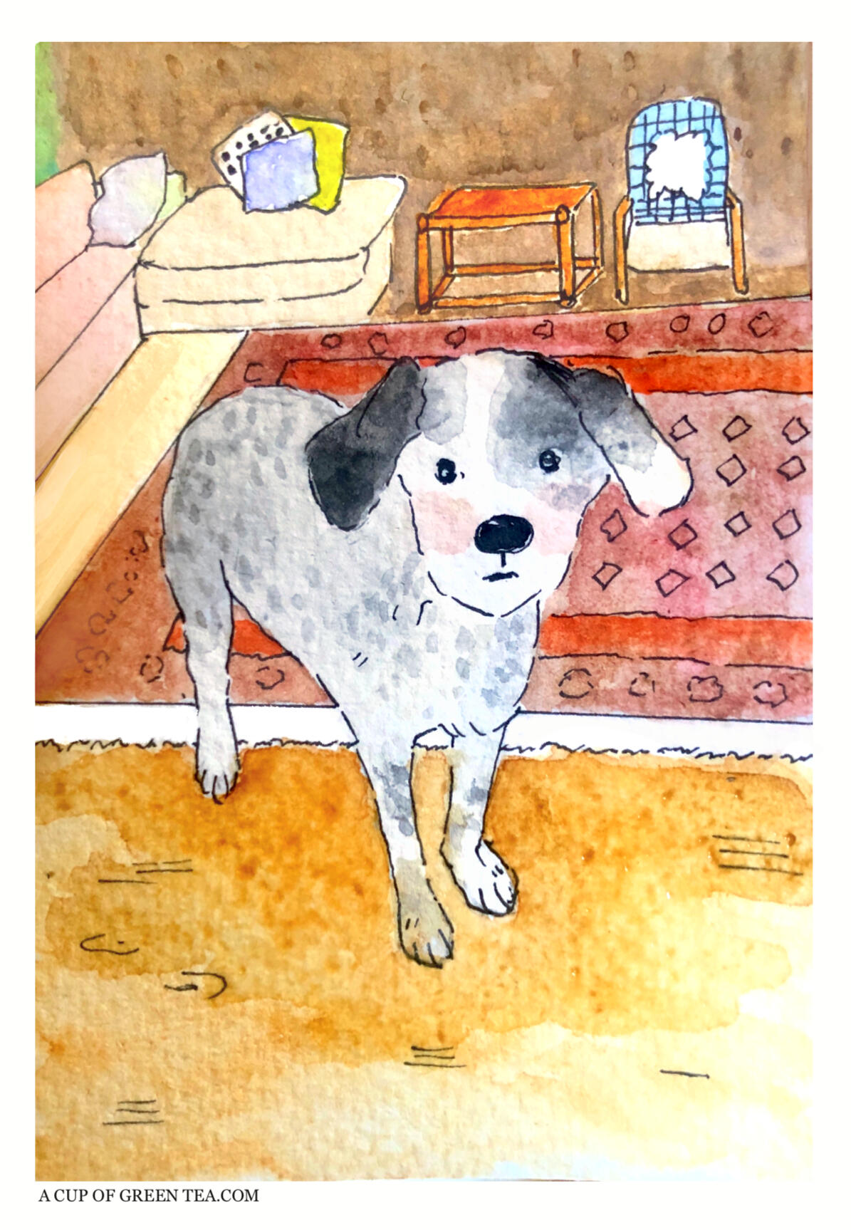 My friend’s dog, Stampa. An adorable dog, and one of my oldest watercolour drawings. - 2019
