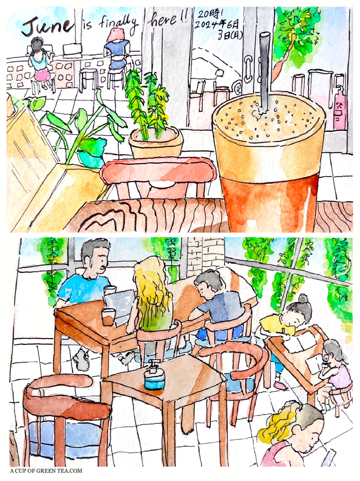 A CUP OF GREEN TEA Illustration